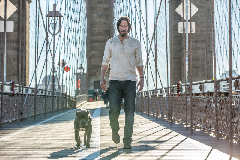 Photo: Lionsgate